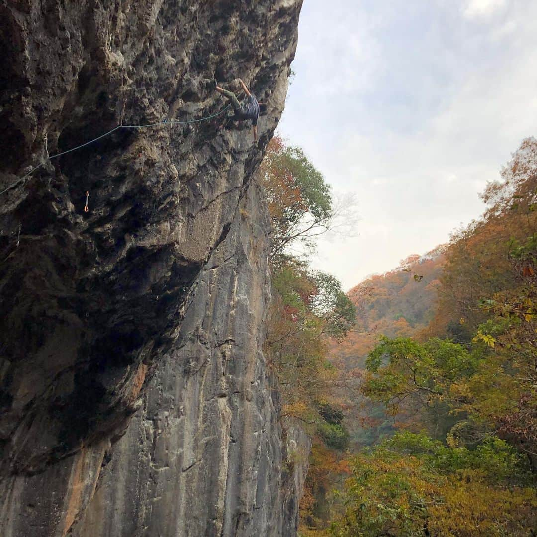 伊東秀和さんのインスタグラム写真 - (伊東秀和Instagram)「瀬戸内JAM2019🌈 監修をさせていただいている漫画💫壁ドンとのコラボイベント✨気持ちの良い1日でした！！ 参加者の皆さん大変お疲れ様でした😊 翌日は羽山へ✅ @orientalbio1991 @mammut_japan @skya_cs_sports_tv @camp1889 @gravityresearch @rocksclimbinggym  #瀬戸内jam2019  #瀬戸内jam  #牛乳石鹸  #壁ドン  #コラボ  #ボルダリング  #漫画  #王子ヶ岳  #にこにこ岩  #岡山  #瀬戸内」11月25日 9時13分 - hide9a2019