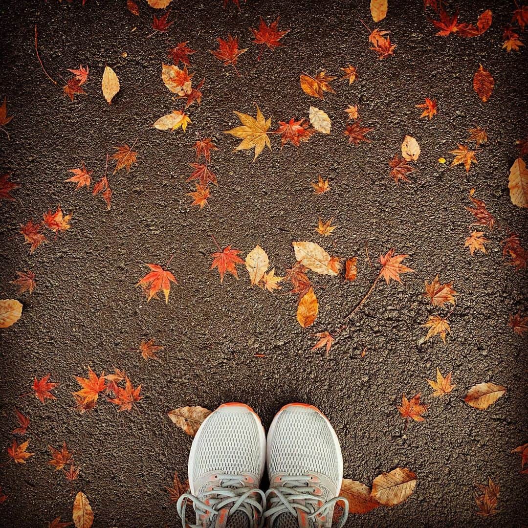 有森裕子さんのインスタグラム写真 - (有森裕子Instagram)「雨で散り落ちた紅葉🍁 走る道を彩りました😊  心持ち 走りも、気持ちも軽やかに⁉️」11月25日 9時17分 - arimori.yuko33