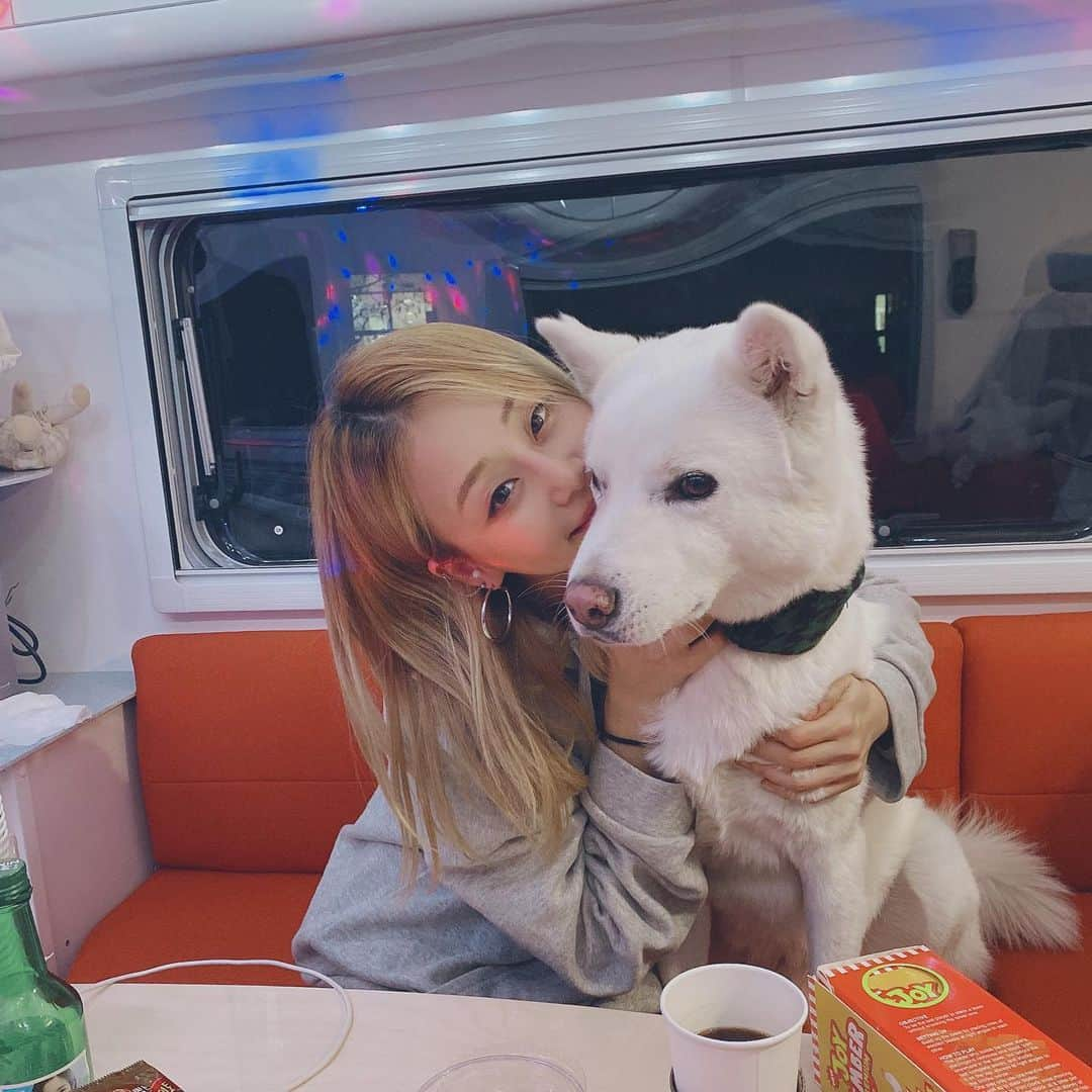 ピパ さんのインスタグラム写真 - (ピパ Instagram)「My love my boy my Bori❤️ . . #boriandI #보슬이 #campingcar #camping #coconut2 #캠핑카 #카라반 #캠핑」11月25日 10時38分 - bipa.diva