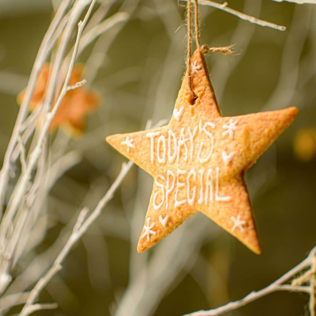 TODAY'S SPECIALのグルメインスタ