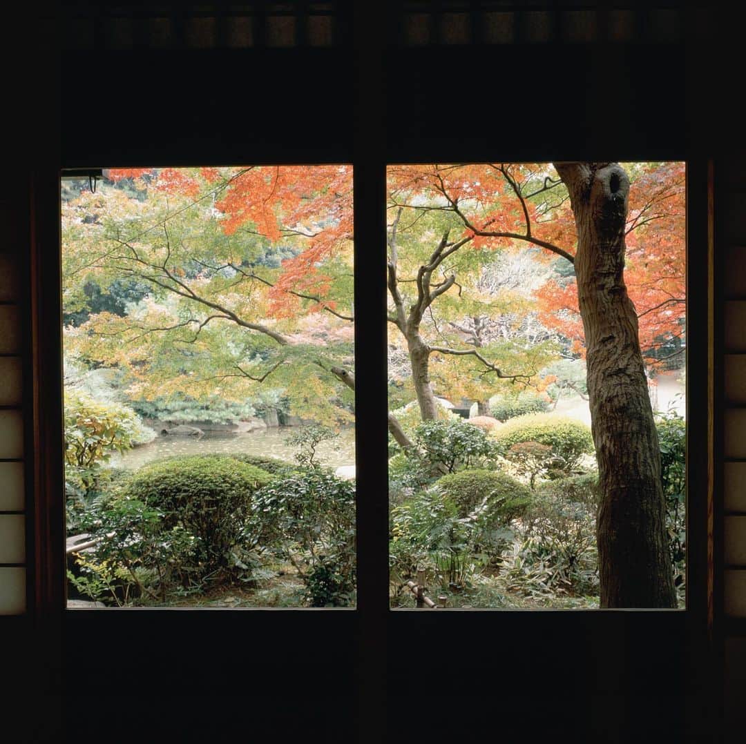 東京都庭園美術館さんのインスタグラム写真 - (東京都庭園美術館Instagram)「【本日開館日／茶室「光華」特別公開】 日本庭園内の茶室「光華」の特別公開が先週末より始まっています。普段は入ることができない広間から、日本ならではの秋の風景をお楽しみください。 なお、東京都庭園美術館は本日月曜日も開館しております！ご来館お待ちしております。 #アジアのイメージ展 #東京都庭園美術館 #東京 #日本美術 #庭園 #日本庭園 #茶室 #紅葉 #tokyometropolitanteienartmuseum #teienartmuseum #tokyo #Japaneseart #garden #teahouse #TokyoTokyoFESTIVAL」11月25日 11時20分 - teienartmuseum