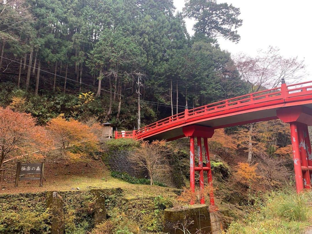 松田祥一さんのインスタグラム写真 - (松田祥一Instagram)「極楽の森へ入る」11月25日 11時55分 - sho1ma2da3