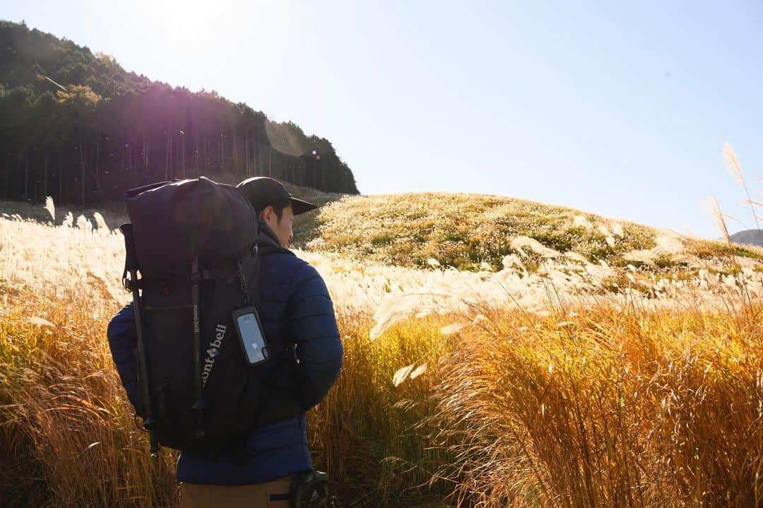 ROOT CO. Designed in HAKONE.さんのインスタグラム写真 - (ROOT CO. Designed in HAKONE.Instagram)「. The season for hiking. ・ #root_co #rootco #shockresistcaseplushold #iphonecase #magreel360 #carabiner #hike #hiking #outdoor #outdoors #outdoorgear #miscanthussinensis #japanesepampasgrass #japanesesilvergrass #susuki」11月25日 12時01分 - root_co_official