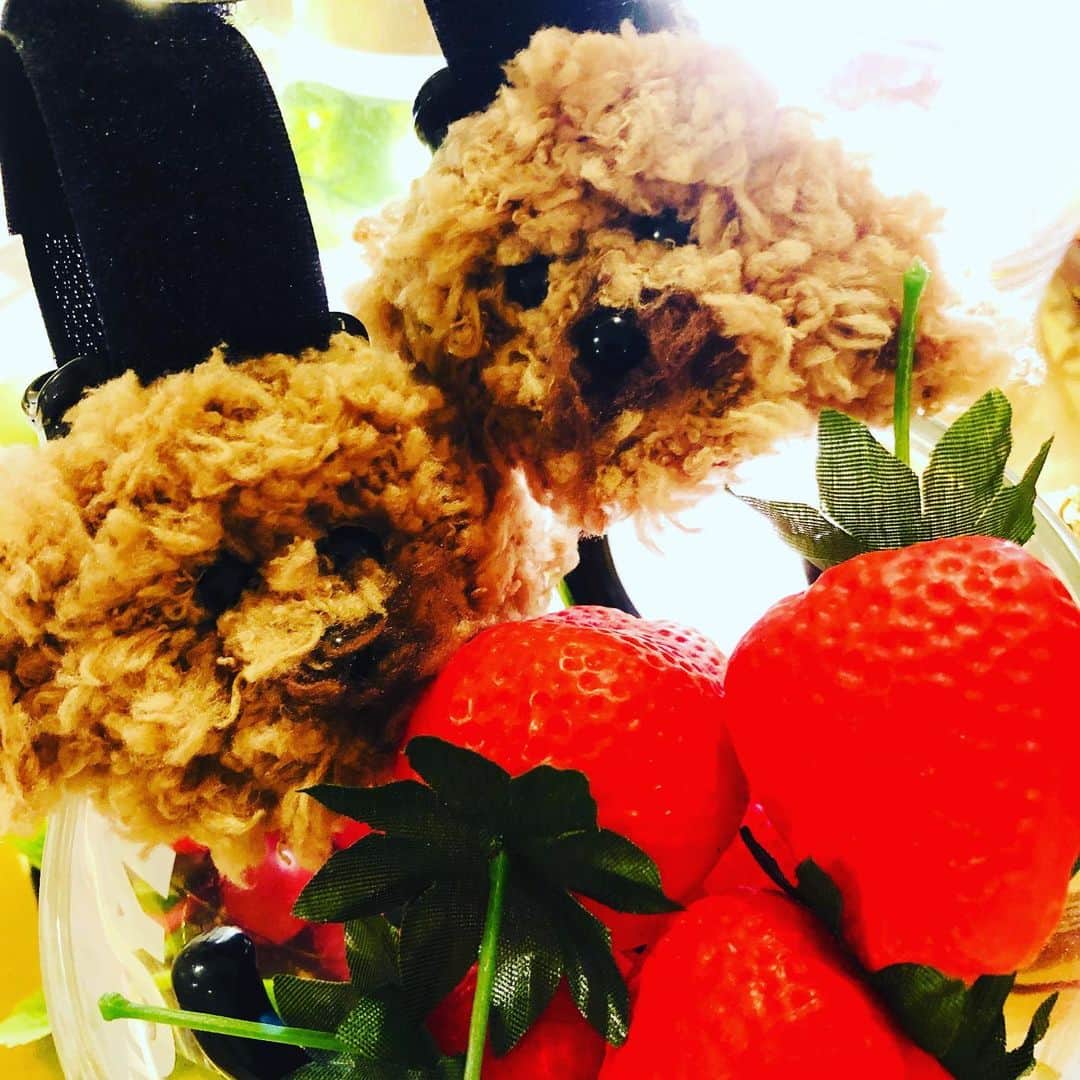 マイケル富岡のインスタグラム：「う…ほんと似てる…毛もフワフワでモコにそっくりだ…♡モコ顔のオリジナルバッグホックを作っていただきました♪一生の宝物に感謝♡本当にそっくり #h.pytote手作り #家族の顔がバッグに #ホックに #オリジナルバッグ #最高のクオリティ #一生の宝物 #モコに会えない時はこれを抱きしめる #love #mybaby #moko #family #愛犬 #愛犬家 #マイケル富岡 #俳優 #タレント #actor #actorslife #shooting #location #感謝 #lovelypresent #thankyousomuch」
