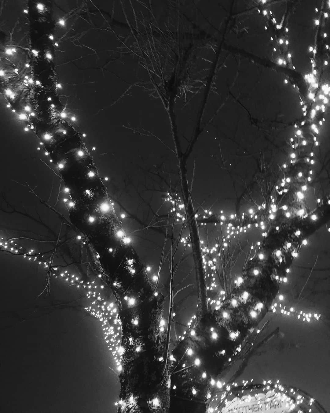 尾形沙耶香さんのインスタグラム写真 - (尾形沙耶香Instagram)「#christmaslights 🎄  #イルミネーション」11月25日 12時12分 - sayakaogata