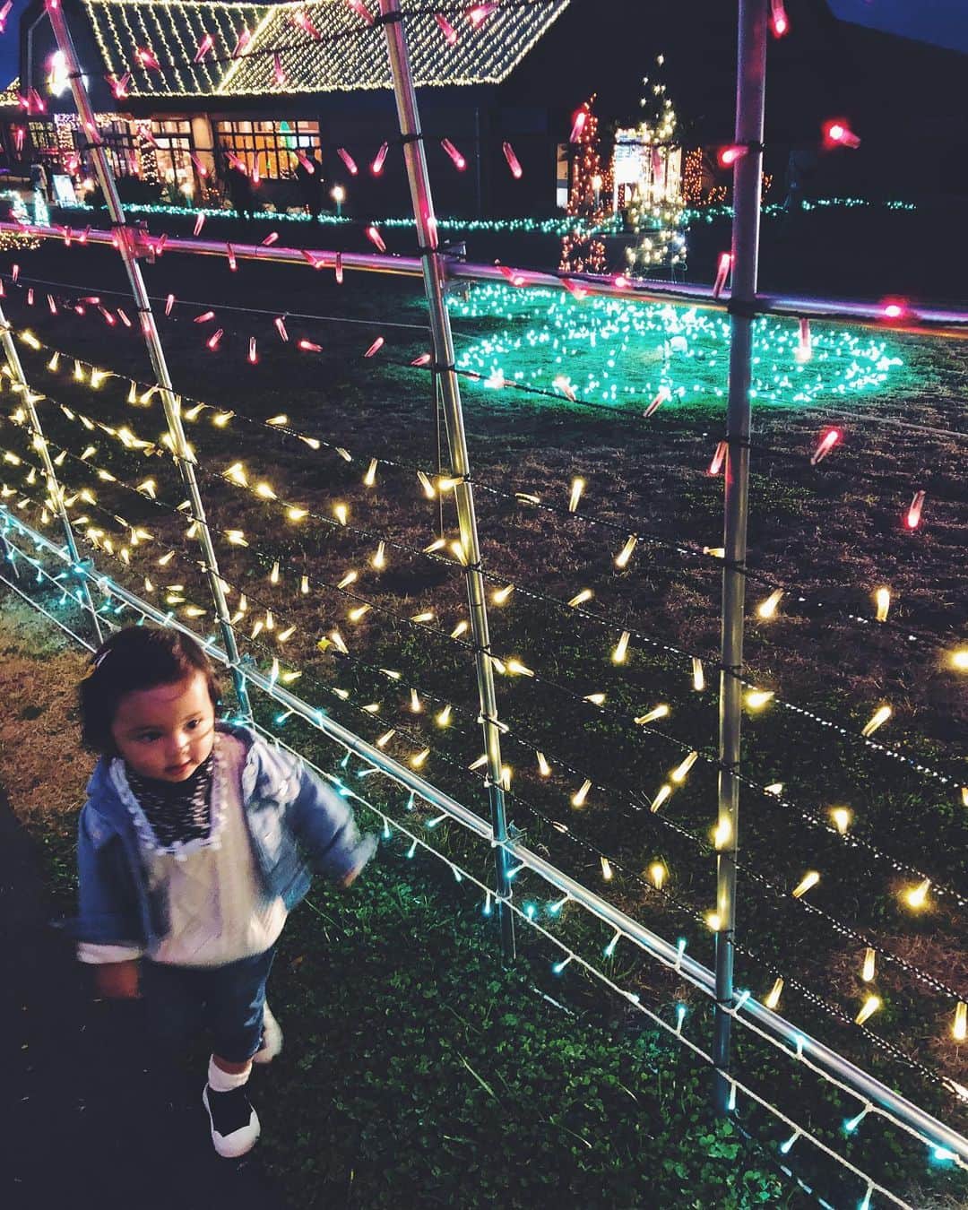 尾形沙耶香さんのインスタグラム写真 - (尾形沙耶香Instagram)「#christmaslights 🎄  #イルミネーション」11月25日 12時12分 - sayakaogata