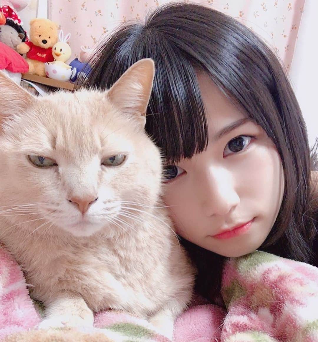 村上りいなさんのインスタグラム写真 - (村上りいなInstagram)「Smile please‼︎🤣🤣 #cat #twoshot #family #love #kawaii #cute #kitty #pretty」11月25日 12時34分 - riina_murakami