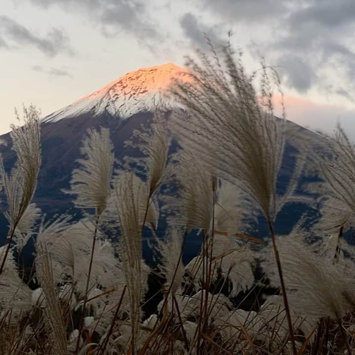 phantastic420のインスタグラム：「. 🤩🤩“Shizuoka” prefecture in Japan is a place where you can see the most “phantastic” Mt. Fuji🗻 in the world.🤩 #富士山 #mtfuji #japan #shizuoka #fujinomiya  #phantastic420photography #mostphantasticmtfuji #selamatpagi  #goodmorning  #おはようございます 😇😇😇😇😇😇😇🗻😇😇😇😇」