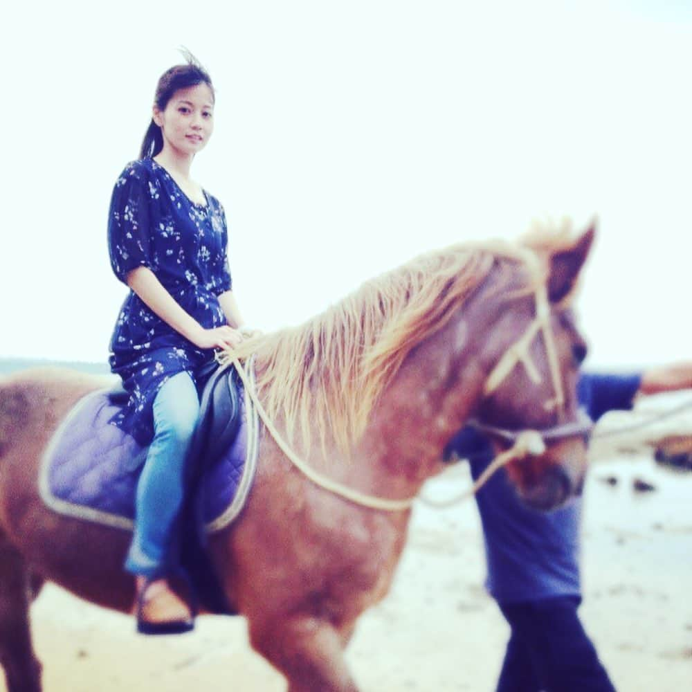 日出郎さんのインスタグラム写真 - (日出郎Instagram)「Ride on horse🐴🐴🐴 #日出郎  #乗馬 #金原亭杏寿 #金原亭駒平 #石垣島」11月25日 12時42分 - hiderou1030