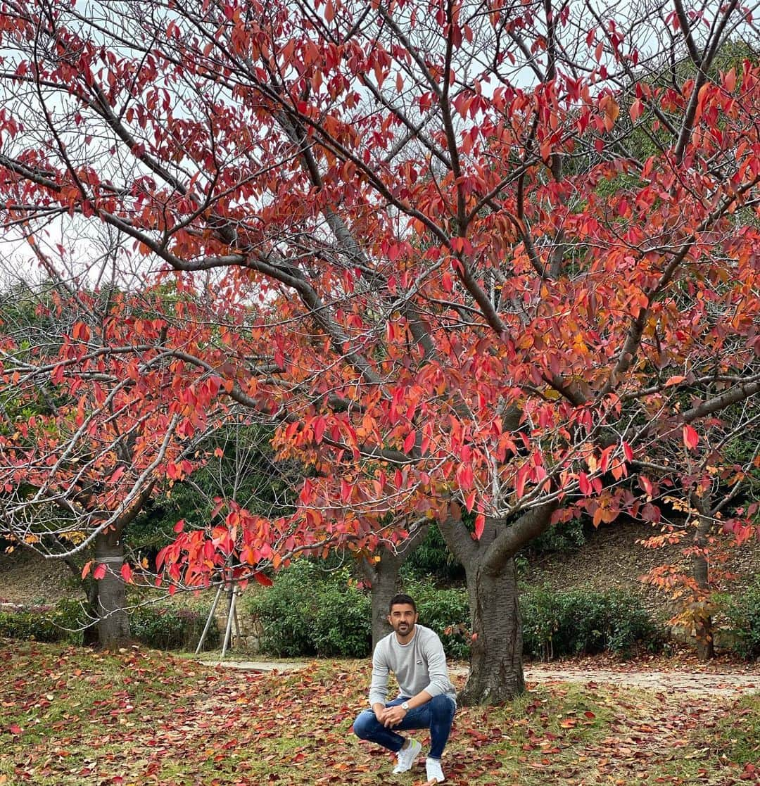 ダビド・ビジャさんのインスタグラム写真 - (ダビド・ビジャInstagram)「🍁🍂🧡 #momiji #kouyou #autumnvibes🍁 #otoño🍁」11月25日 12時45分 - davidvilla