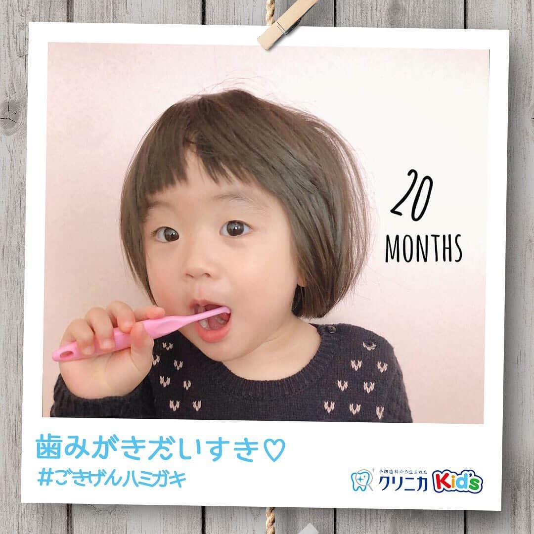 クリニカではじめよう予防歯科のインスタグラム：「今日の#ごきげんハミガキ♪﻿ ﻿ 皆さんこんにちは♪﻿ 今日は @tomomaman_ さんの#ごきげんハミガキ です！﻿ ﻿ 1歳8ヵ月のりんちゃん😊﻿ ﻿ 予防接種は大嫌いで大泣きのりんちゃんだけれど、歯みが﻿ きは大好き！上、下、前歯、奥歯としっかりみがいています☺にっこり笑顔でハブラシを持つ姿がとってもキュート💕﻿ ﻿ 上手になったコツは、ママと向かい合って真似したからかな？👩‍👧﻿ ﻿ ----------------------﻿ #ごきげんハミガキ の投稿を募集中！﻿ クリニカKid’s公式アカウントでご紹介させていただきます♪﻿ ----------------------﻿ ﻿ #クリニカ #クリニカキッズ #歯磨き #歯みがき #はみがき #ハミガキ #歯みがきタイム #歯磨き中 #育児 #育児日記 #育児記録 #子育て #子育て記録 #1歳8ヵ月#仲良しきょうだい #子供の成長 #成長記録 #成長 #ママライフ #親バカ部 #親バカ日記 #子供のいる暮らし #子育てのシェア #ママカメラ #女の子ママ」
