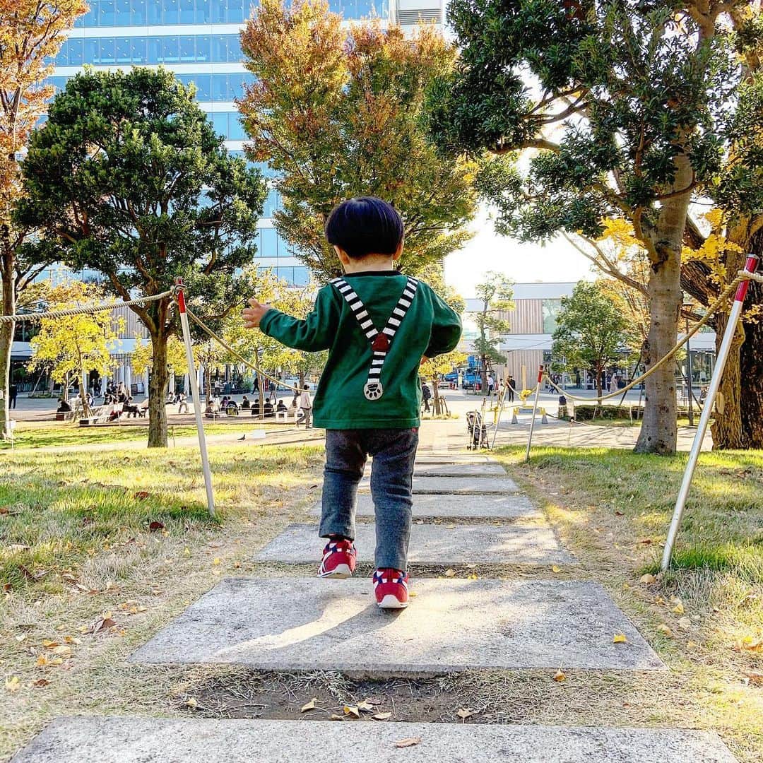 You Iwamotoさんのインスタグラム写真 - (You IwamotoInstagram)「散歩。」11月25日 13時22分 - mots