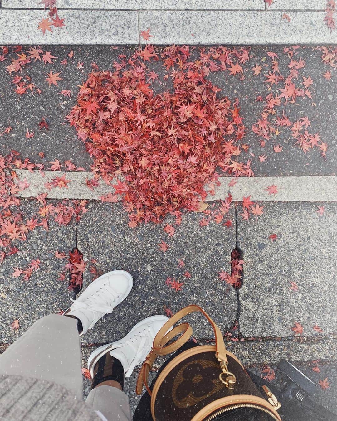 里見茜さんのインスタグラム写真 - (里見茜Instagram)「ハートみたいな可愛い落ち葉発見🍁 良い時期に来れたな☺️💗 #紅葉祭り#綺麗すぎて#京都旅#紅葉」11月25日 14時01分 - satomiakane