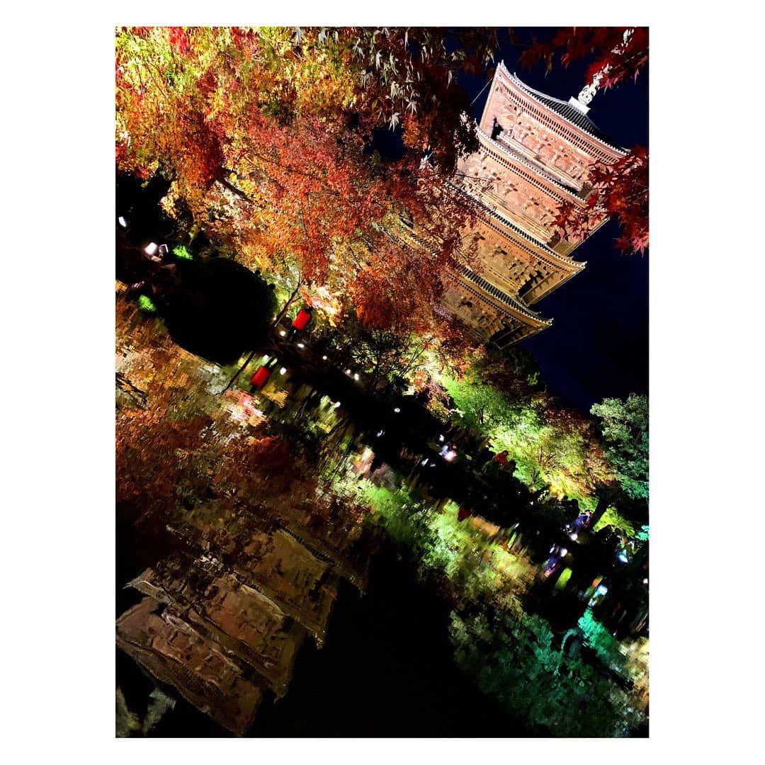 のインスタグラム：「弾丸で行ってきた京都大阪ぎ楽しすぎてしばらくこの類いのばっかり載せる予感しかない。  #京都 #東寺 #紅葉 #絶景 #美 #ライトアップ紅葉 #寺社仏閣 #日本 #秋 #kyoto #tojitemple #autumnleaves #beautifulview #lightup #temple #japan #japaneseautumn」