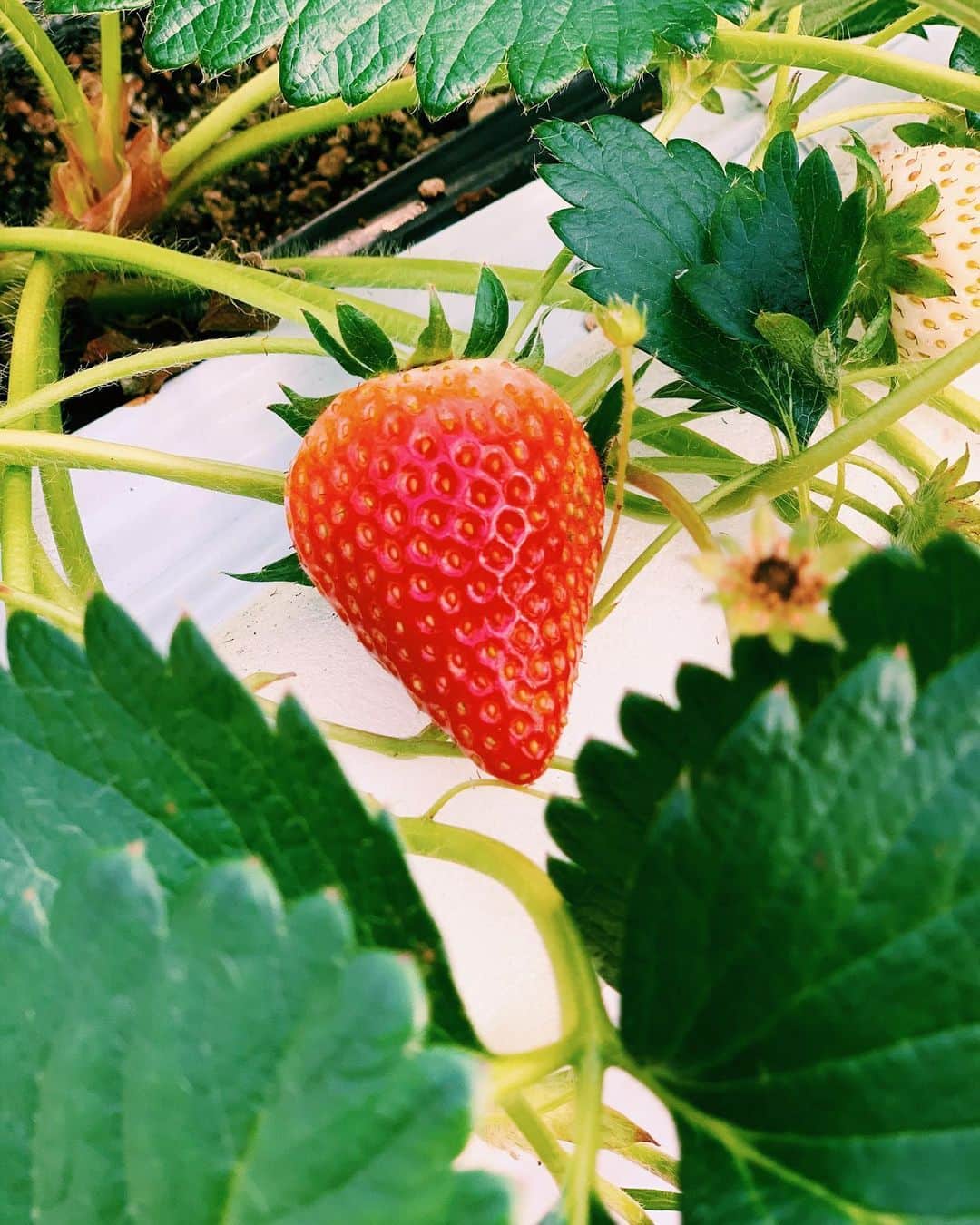 北出ゆいのグルメインスタ