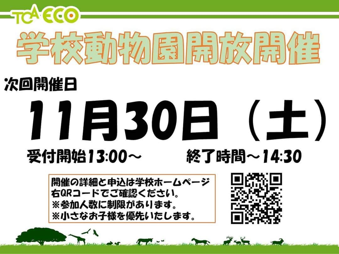 【公式】東京コミュニケーションアート専門学校ECOのインスタグラム