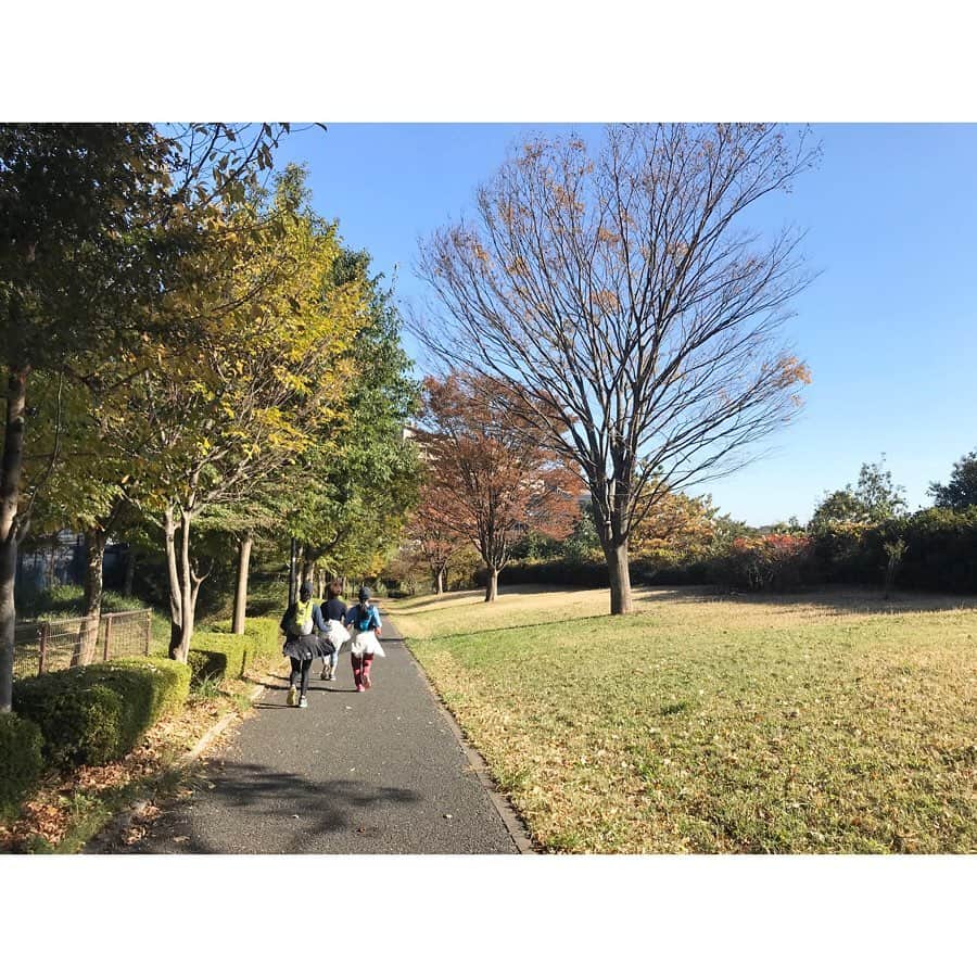 竹中友紀子のインスタグラム：「#プチトレイルラン  雲ひとつない青空の中プチトレイルランに行ってきました。 最近サボり気味だったラン。やはり自然の中を走るのが楽しい^ ^ ラン後は #ミーマキッチン にてランチ🍽 栗とキノコのおこわ 和風ミネストローネ だし巻きたまご #ごちそうさまでした」