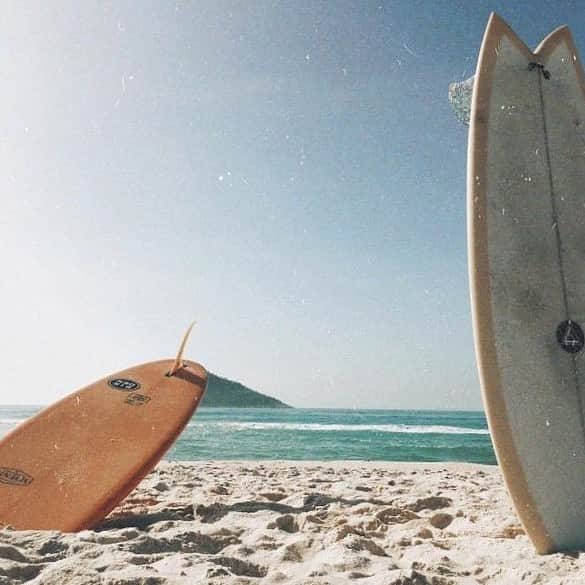ブルーライフのインスタグラム：「beach szn 💛」