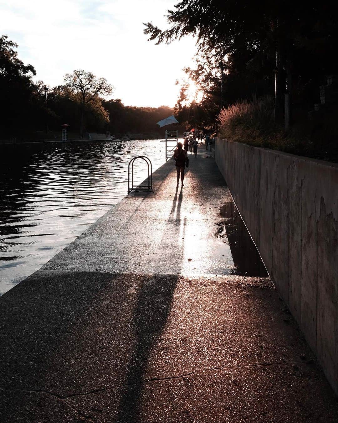 Robert Bingamanのインスタグラム：「At Barton Springs with @sco this morning.」