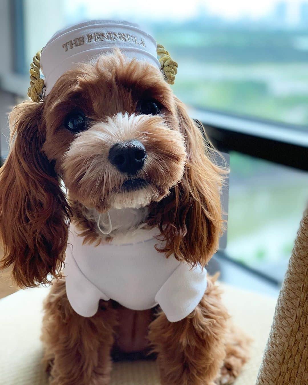 The Peninsula Hotelsのグルメインスタ