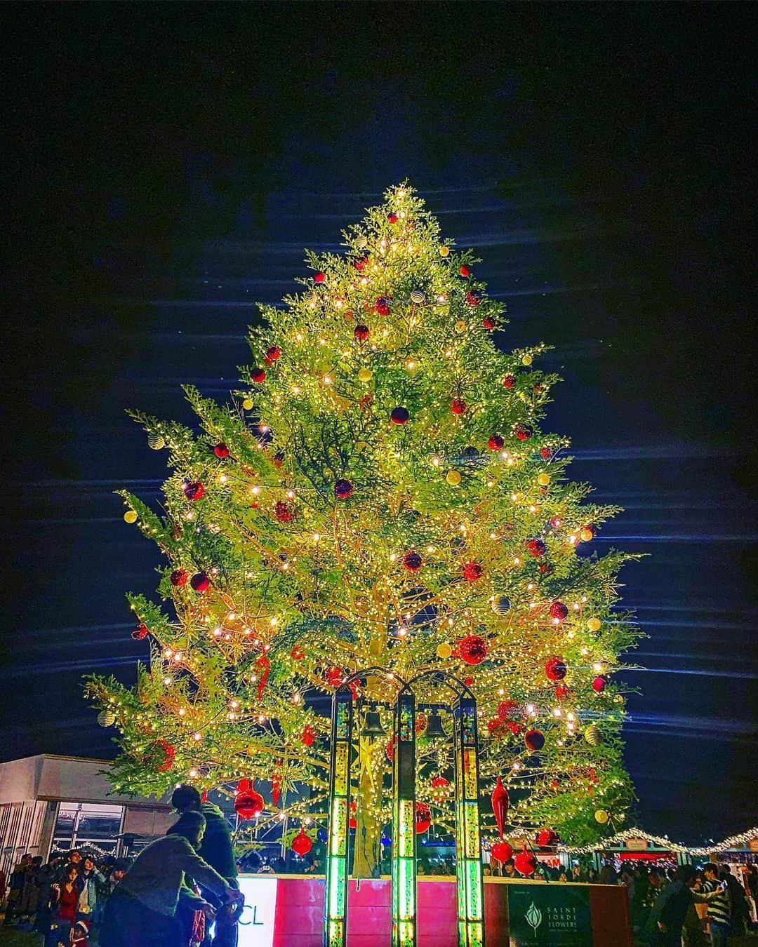 福島ゆかさんのインスタグラム写真 - (福島ゆかInstagram)「：赤レンガのクリスマス  ありねえと巡りました。 我が家のツリーも飾り付けしなきゃ🎄  #クリスマス #christmas  #christmastree  #クリスマスツリー  #横浜 #みなとみらい #赤レンガ倉庫  #赤レンガ #ライトアップ #イルミネーション #夜景 #クリスマスフェスタ #クリスマス雑貨  #待ち人は #サンタさん」11月26日 1時36分 - yuka_fukushima_