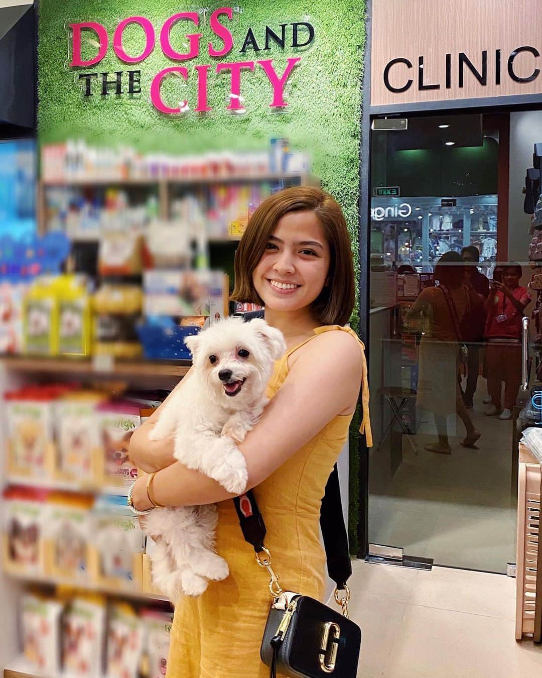 Alexa Ilacadさんのインスタグラム写真 - (Alexa IlacadInstagram)「Blushie’s day out 😍 Took her to one of her favorite places ever, @dogsandthecityph! She feels so at home and leaves smelling like a baby because they use @mrgigglesph shampoo in grooming. Follow her on ig for everyday cuteness @blushclues 🥰 @death.by.designer.bags @twillcavern thank you! ♥️」11月25日 17時25分 - alexailacad