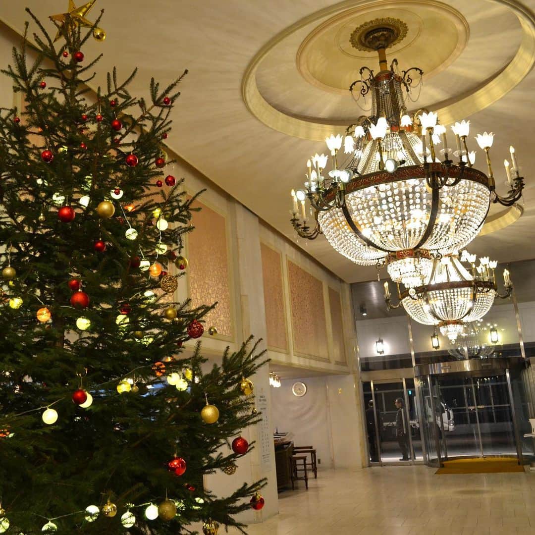 ホテルニューアカオ　熱海温泉＆リゾートのインスタグラム：「クリスマスまであと一ヶ月ですね🎄 ただいまホテルニューアカオの玄関を入ると、大きなクリスマスツリーがお出迎えしてくれます☺️💞」