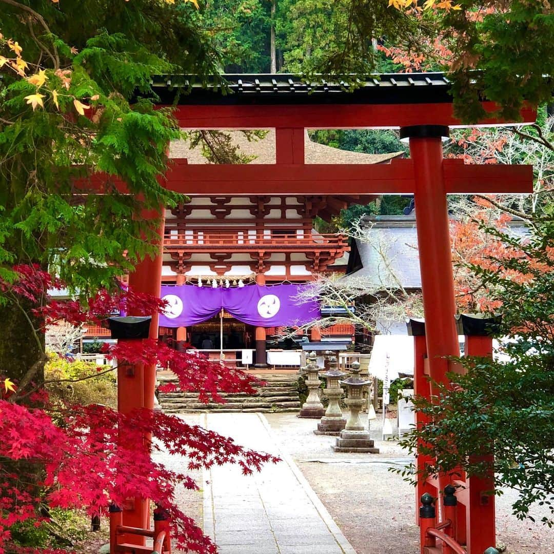 大西宏幸さんのインスタグラム写真 - (大西宏幸Instagram)「その3 秋の紅葉♫ 和歌山県 丹生津姫神社に参拝してその美しさに魅了されました。 #大西宏幸 #衆議院議員 #秋の紅葉 #丹生都比売神社  Autumn leaves  Wakayama Nyotsu Hime Shrine worshiped and was fascinated by its beauty.  #Hiroyuki Onishi #Meeting the House of Representatives #Autumn leaves」11月25日 18時20分 - hiroyukionishi