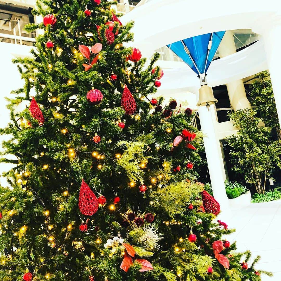 ルミアモーレのグルメインスタ