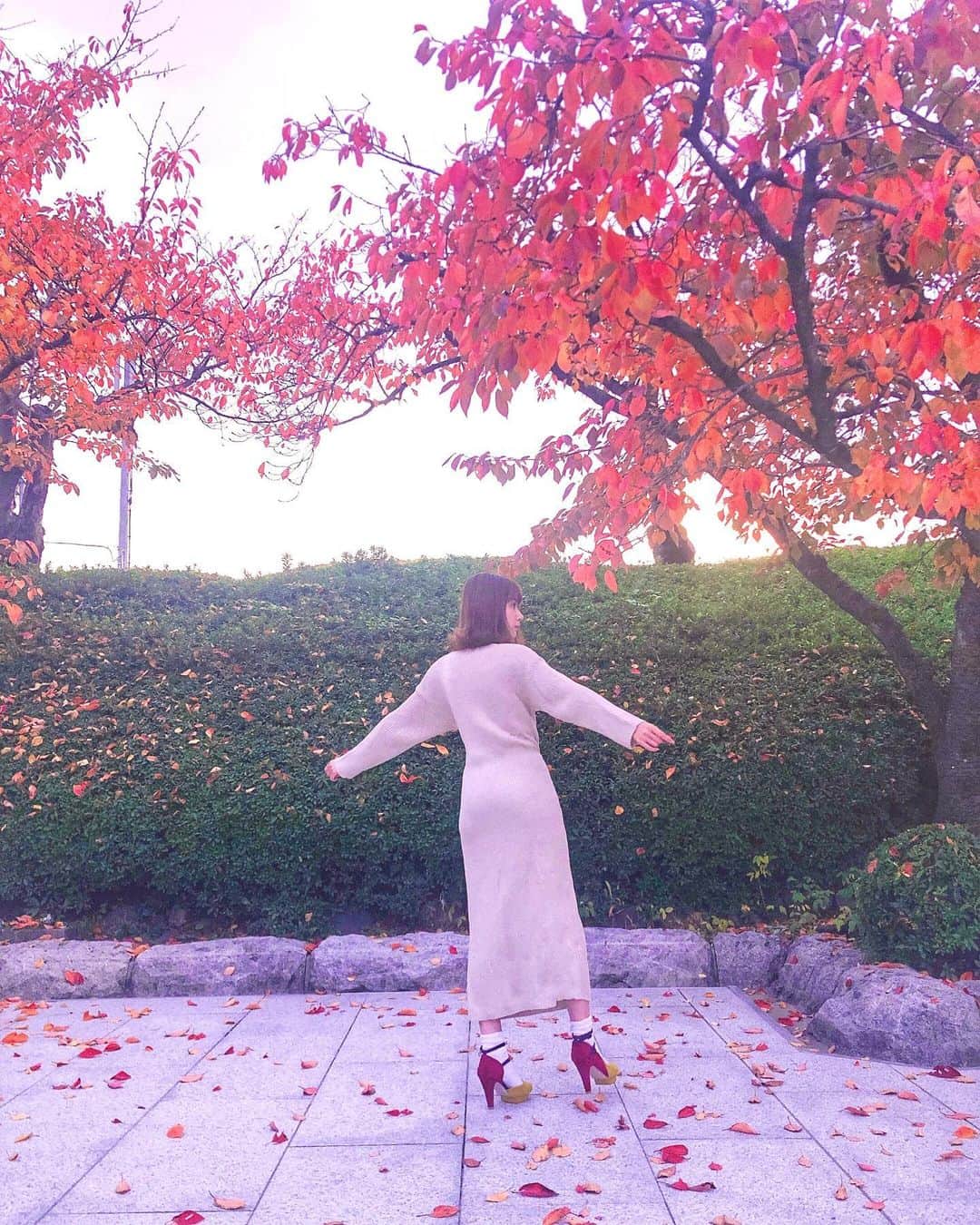 杉枝真結さんのインスタグラム写真 - (杉枝真結Instagram)「☺︎ 帰り道… 秋の紅葉が とっても綺麗で 心を奪われました🍁 - @titivatejp の #ウエストマークカシュクールニットワンピース 👗 やっぱ、ニットワンピって… シルエットの滑らかさが 女性らしくて可愛く感じる！☺️ - 靴下 / LANVIN en Bleu 🧦 ヒール / LilyBrown 👠 - #titivate #titivatestyle #ティティベイト #ootd #outfit #instafashion #instalike #japan #autumn #autumnleaves #happy」11月25日 19時30分 - mayusugieda_official