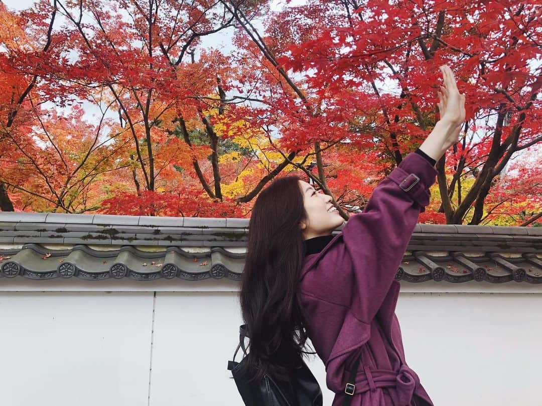 福井千佳のインスタグラム