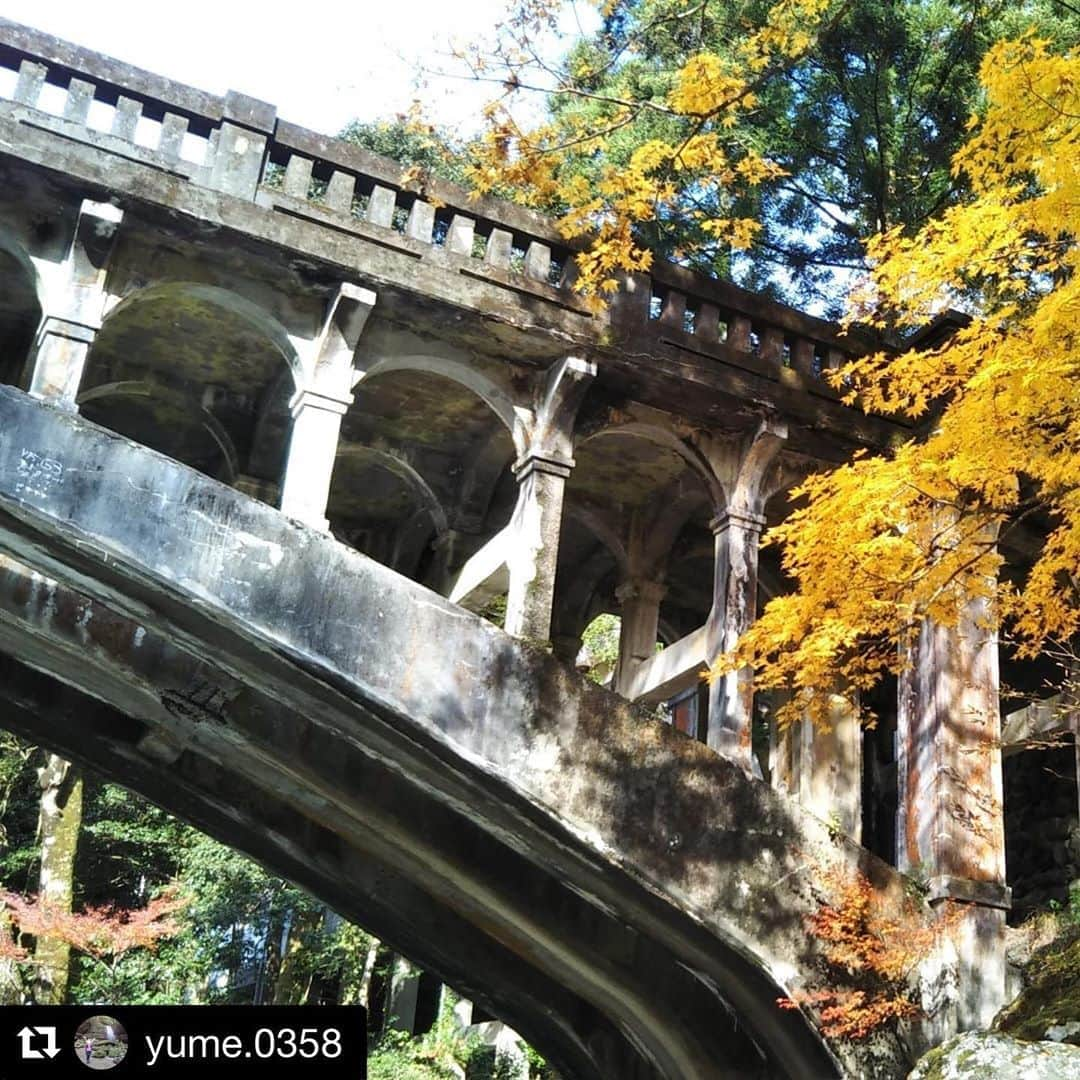 西条市さんのインスタグラム写真 - (西条市Instagram)「@yume.0358 さんの投稿を紹介します！﻿ ﻿ 渓谷のレトロ橋🍁﻿ ﻿ 石鎚登山ロープウェイ下谷駅より少し上。﻿ 高知へのメインルートに﻿ なるかもしれんかった道なんだって！﻿ ﻿ 橋桁の裏まで凝っとる😮﻿ 昔の人の気合いを感じるねえ﻿ ﻿ ﻿ #産業遺産 #土木学会推奨土木遺産 #civilengineering #archbridge  #bridge﻿ ﻿ ﻿ ・・・﻿ ﻿ 石鎚山麓・大宮橋を渡り…⛰️🍁✨ 「一人かね?　道は分かるんかね?　女の人が一人で大丈夫かね?　今日はどこまで行くん?今日のうちに帰ってくるんかね?」﻿ ﻿ 一人で山へ入る私を見かけると、毎回しつこいほどに心配してくれてた大宮橋のおばちゃん👵　﻿ ﻿ おばちゃんが山を離れ1年半になりますね、お元気ですか🤗﻿ ﻿ いつもおばちゃんに心配かけないようにって明るいうちに山を下り、必ず声をかけて帰途についたものです。﻿ ﻿ 今日は峠のお地蔵様に声をかけて山へ入ります。シカの痕跡はあるけど人の痕跡がない、五感を働かせて道を探るような所がずいぶん増えました⛰️🍁🍂﻿ ﻿ 大宮橋のおばちゃん、おばちゃんの声が私の御守だったような気がします⛰️✨✨﻿ ﻿ それはきっと私だけじゃなかったはず、居なくなって気付いたよ、本当にありがとうございました✨どうぞお元気でね!! ﻿ ﻿ #石鎚山 #石鎚山系 #石鎚山麓 #大宮橋 #山を考える #自然を考える #lovesaijo #石鎚登山ロープウェイ #文脈登山#低山登山 #ひとり登山 #西条自然学校#シカ#愛媛県西条市﻿ #西条市 #いよ西条 #伊予西条 #愛媛 #四国 #瀬戸内 #田舎暮らし #愛媛旅行 #四国旅行 #japantravel #japaneseculture ﻿ 【共通】﻿ ★西条まつり﻿ 　フォトコンテスト実施中★ （～12/31）﻿ ﻿ お祭りで撮った写真に﻿ ハッシュタグ「lovesaijo」「lovesaijoまつり」﻿ をつけて投稿してください☆﻿ ﻿ 素敵な商品が当たったり、﻿ ポスターなど市のPRに使われるかも。﻿ ﻿ 2015年までの過去の写真もOKなので、﻿ ぜひ投稿・編集を！﻿ 詳しくはストリーズを見てね。」11月25日 20時01分 - lovesaijo