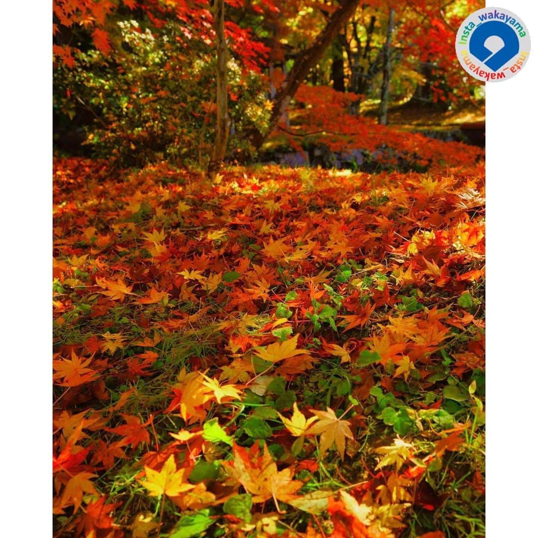 和歌山県のインスタグラム