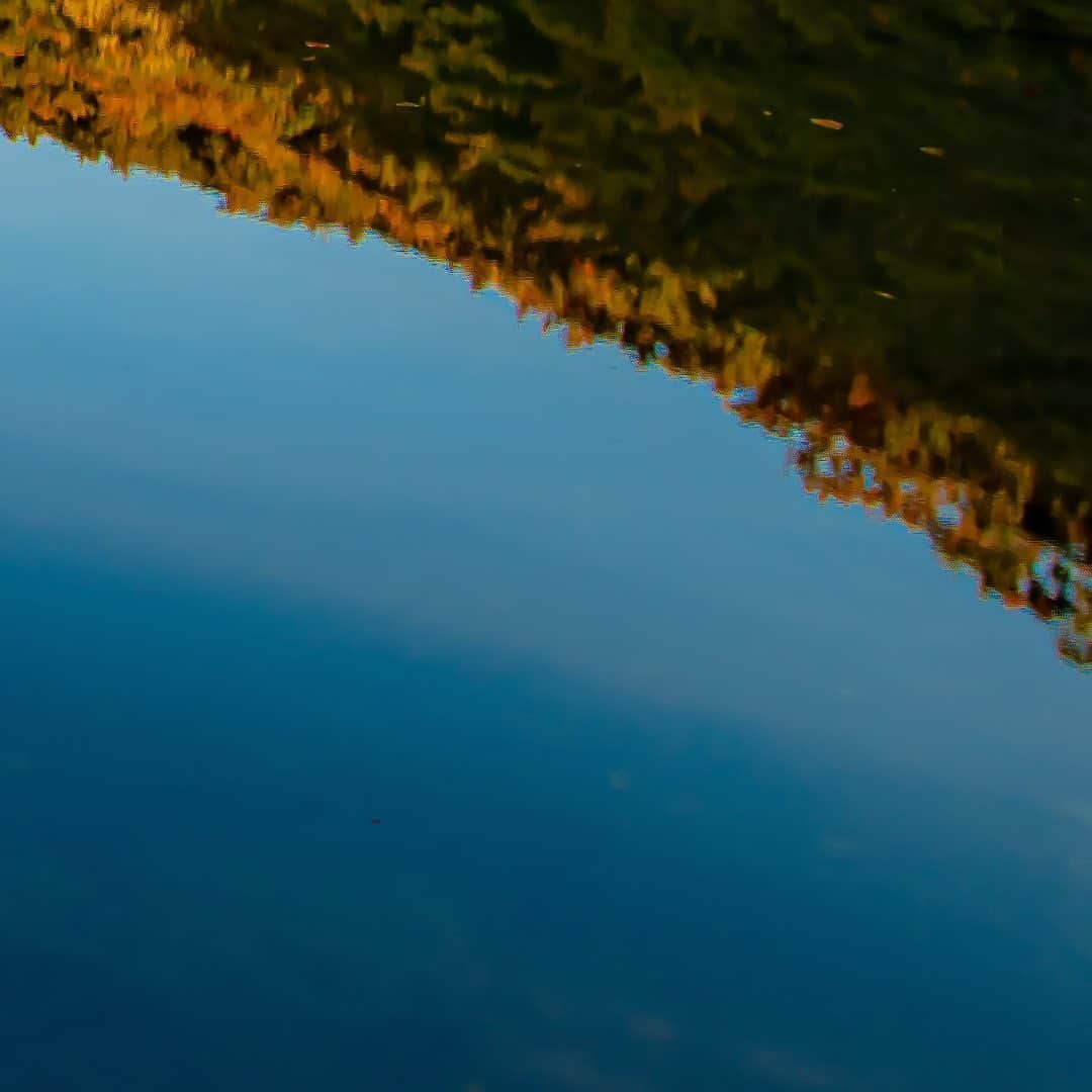 tomohiro koshikaのグルメインスタ