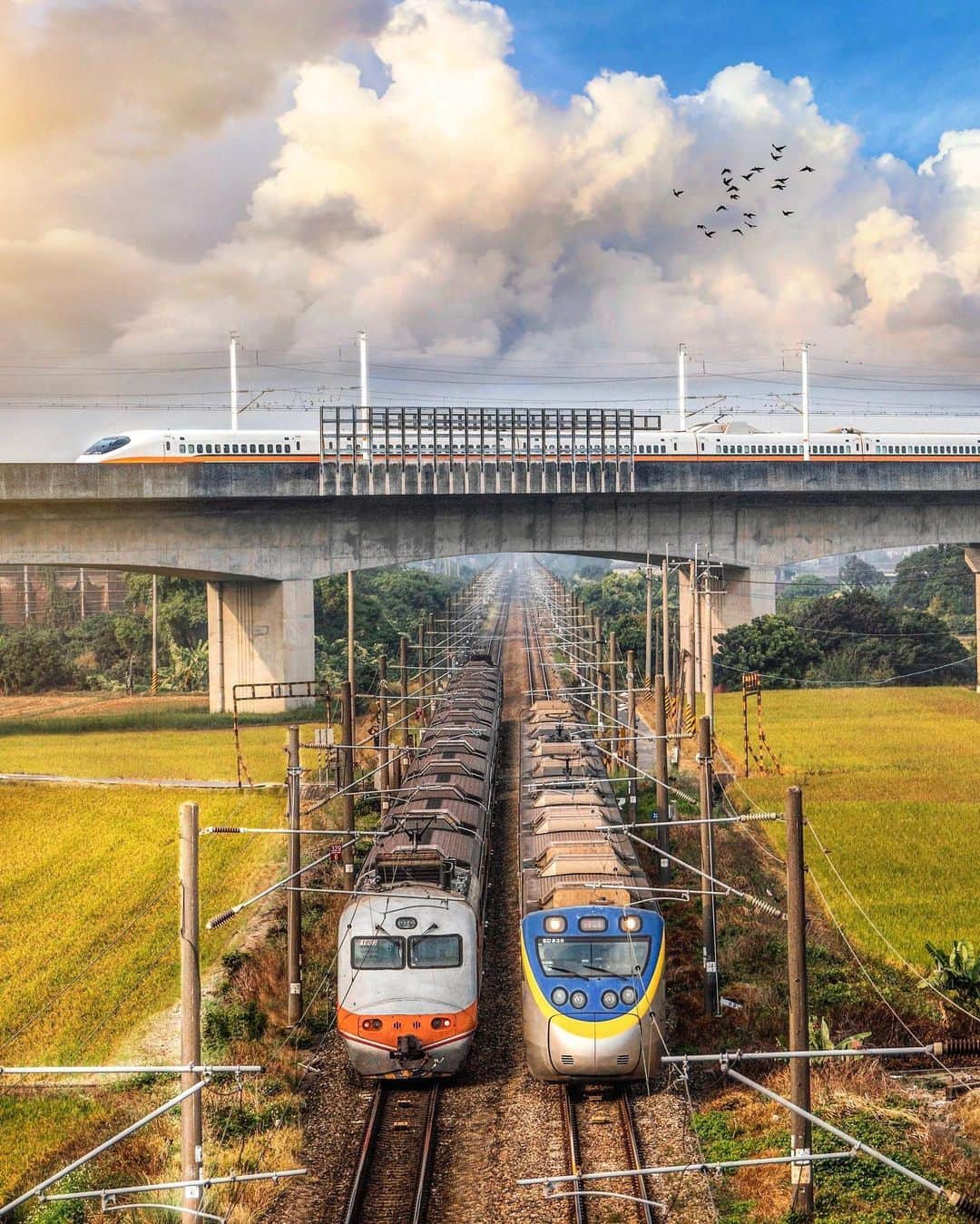 樂さんのインスタグラム写真 - (樂Instagram)「台南。當台鐵與高鐵交會時🚄🚃🚆 有沒有看過高鐵和火車交會的瞬間，這完全是我夢想中的畫面🥰 那天在台南鄉間等候多時，就為了這個畫面，真的超級喜歡😍 原本要捕捉卡納赫拉的高鐵，可惜錯過了😭 這裡很適合鐵道迷來探訪！！ Tag分享給朋友一起來看火車吧🚄 這裡可能只能同時看到一台火車跟高鐵交會喔，這張是疊圖完成的😁 - . . . .  #ygtphotograph#discovertaiwan#travellingaroundtheworld#iseetaiwan#bpintaiwan #amazingtaiwan#igerstaiwan#exploretaiwan#popdaily#taiwantravel#taiwan1#taiwan_dream#taiwanese#tv_pointofview#taiwangram#instagrammer#台灣#taiwan#tainan#台南景點#台南」11月25日 20時08分 - ygt1016