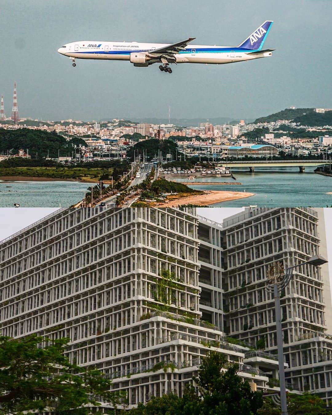 halnoさんのインスタグラム写真 - (halnoInstagram)「【ANA×沖縄✈】 秋こそ沖縄✨冬だって沖縄✨ Paradice #okinawa !! 年中暖かいから秋冬は最高に過ごしやすい。 沖縄は夏に行くもんだ、って考え、もうやめよう。秋冬もいいから。むしろ穴場だから。絶景、文化、ごはん、気候、期待以上に楽しめた！暑いけど、カラッとした暑さなので少年時代の夏休みを思い出しましたわ☀️ 12/27まで #オキナワーズ Tw投稿で、ANA沖縄ペア航空券が当たるそう🎁✨（オキナワーズってつぶやかないわけにはいかないんじゃないの？） . 大人気youtuber @nogachannel のがちゃんねるさん 彼女の実家がhalno邸の近所のクリエイター @moron_non もろんのんさん 3人と行った沖縄旅行の特設サイト、今日11/25ストーリーズのリンクから見てみてね。うはうはー 未公開の作品もいっぱいあるよ✨ #ANA #オキナワーズ #pr ・ #2000円札に感動 #ガイドのさおりさんが両替してくれた #沖縄の思い出として大切に財布に入れてた #ある日新幹線に乗る時suicaチャージがなくて駅員さんにチャージしてくれ言われて財布を開いたら #2000円札しかなかった #使った #ガイドのさおり姉さんごめん」11月25日 20時29分 - halno