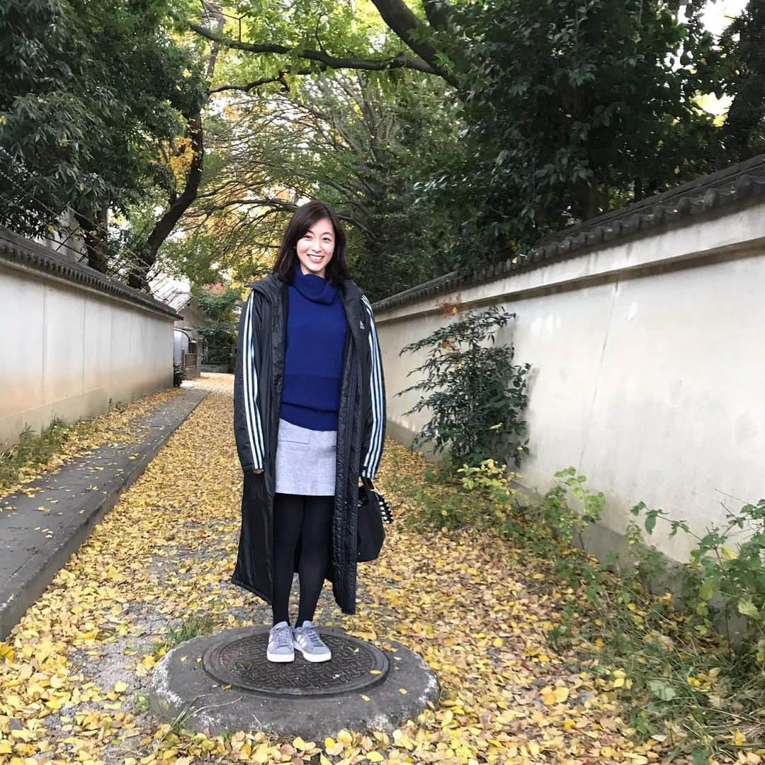 青山倫子さんのインスタグラム写真 - (青山倫子Instagram)「街が秋色に染まってきたぞ。 イチョウの落ち葉が綺麗って興奮していたら、 写真を撮り終わった後に、 これ、イチョウじゃないですよって言われちゃった。。 目からの情報の思い込みって凄い。  #青山倫子 #街が秋色に染まってきたね #綺麗な季節 #これイチョウじゃないの?? #色でイチョウと思っちゃった #でも綺麗だからいっか #ロケの場所は秋を感じない落ち葉のないところだったよ」11月25日 20時36分 - noriko_aoyama1229