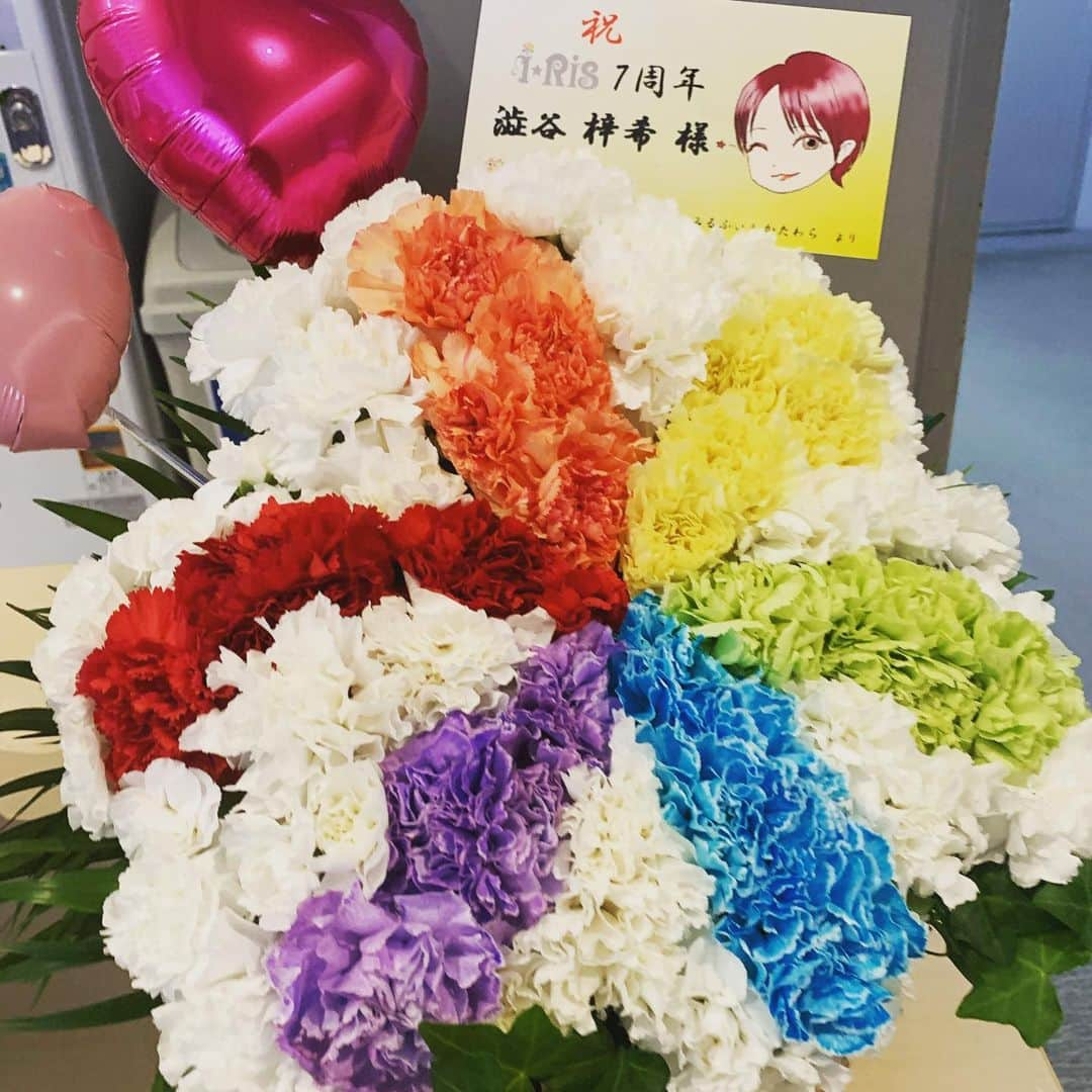 澁谷梓希さんのインスタグラム写真 - (澁谷梓希Instagram)「楽屋花💐  ライアン持って帰ってきた😽 ありがとう(*｀ω´*)！ #kakaofriends #kakaotalk #iris #おはなず　#flower #flowerstagram」11月25日 20時53分 - azk_s811