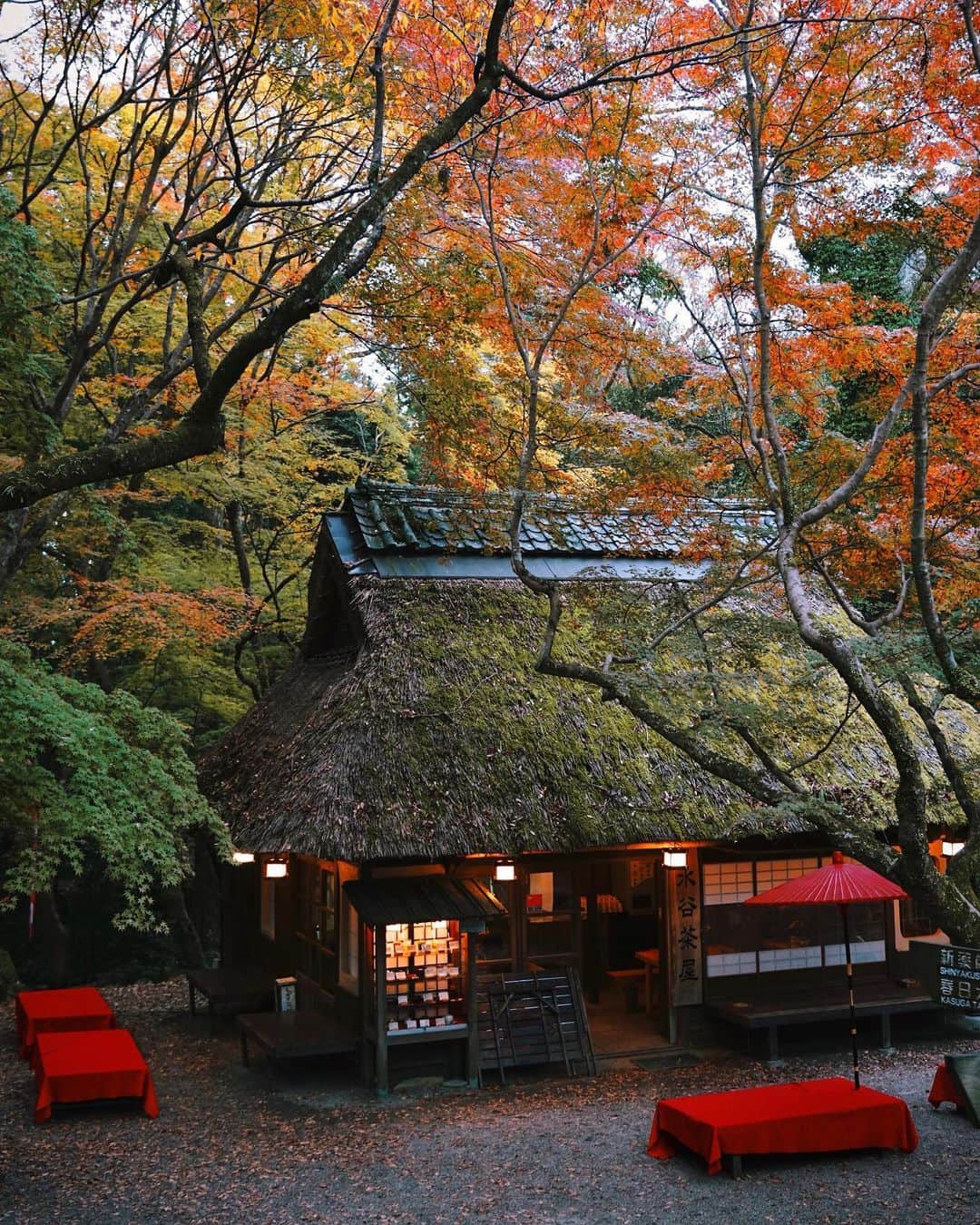 Koichiのインスタグラム：「| Tea House🍁🍵🍁 . #BeautifulJapan #奈良 #Nara .」