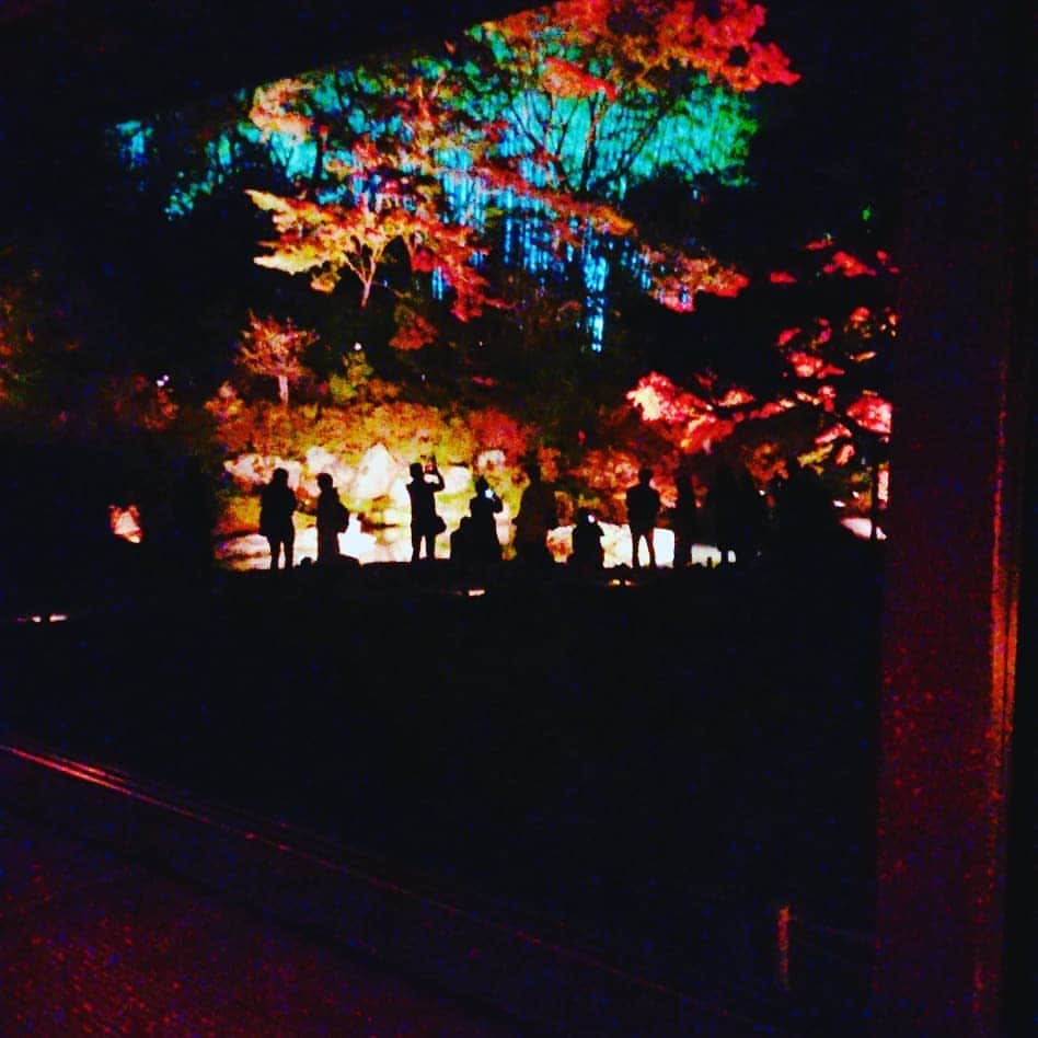 なつ葵さんのインスタグラム写真 - (なつ葵Instagram)「綺麗✨  #青蓮院#ライトアップ#京都#紅葉#茶道#人がいっぱい#kyoto #観光 #なつ葵#恵比寿マスカッツ #綺麗」11月25日 21時08分 - natsuki_taiyaki