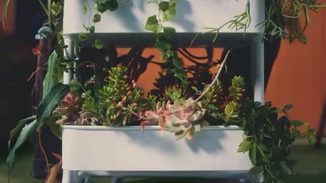 田中裕介のインスタグラム：「IKEA TVCM “RÅSKOG” を監督しました。 https://youtu.be/UoerAqBWRm0」