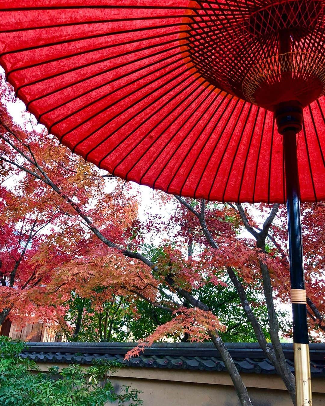 木佐貫まやさんのインスタグラム写真 - (木佐貫まやInstagram)「Biiiiiiiig smile 😃  Trip in Kyoto 😋 Lovely views, delicious food and great members ❤️❤️❤️ Also my fortune was excellent luck✌️✌️✌️ . 京都旅行.•* 素敵な景色に美味しいご飯にそしてなにより最高のメンバーで本当に楽しい休日を過ごせました❤️❤️❤️ おみくじ私だけ大吉だったんだ〜！」11月25日 21時18分 - maaayaofficial