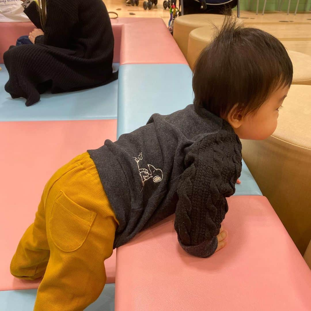 上代真希さんのインスタグラム写真 - (上代真希Instagram)「双子コーデ💕可愛すぎる😂💕 ・ 大きい方がうちの子です😊 大きい方より小さい方がしっかり立つ。笑笑  #双子コーデ#スヌーピー#偶然同じの持ってた#4ヶ月差」11月25日 21時40分 - maki_kamidai