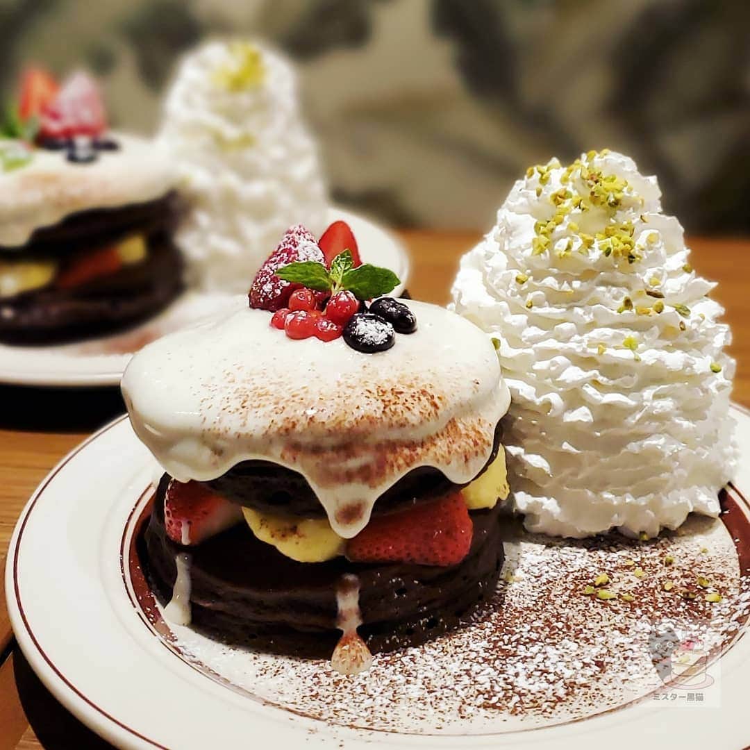 ミスター黒猫（黒猫仙人）のグルメインスタ