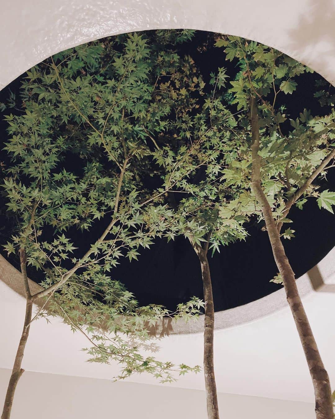 久林紘子のグルメインスタ