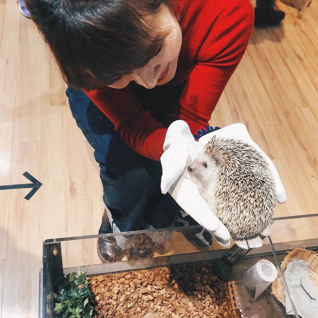 かほこ。のグルメインスタ