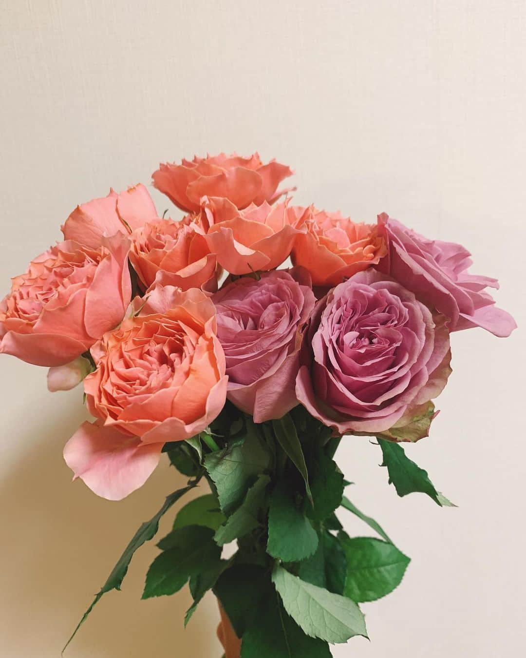 神田咲実さんのインスタグラム写真 - (神田咲実Instagram)「お花のある生活は * 『日々、ゆとりを持ちなさいね😌』 * と、気づかされるから やっぱり好きです🌹💜 * #なんだかんだ #やっぱバラは好き🌹 #可愛いバラだこと☺️ #真紅の薔薇より淡い色の薔薇が好き #rose」11月25日 23時48分 - sakimikanda
