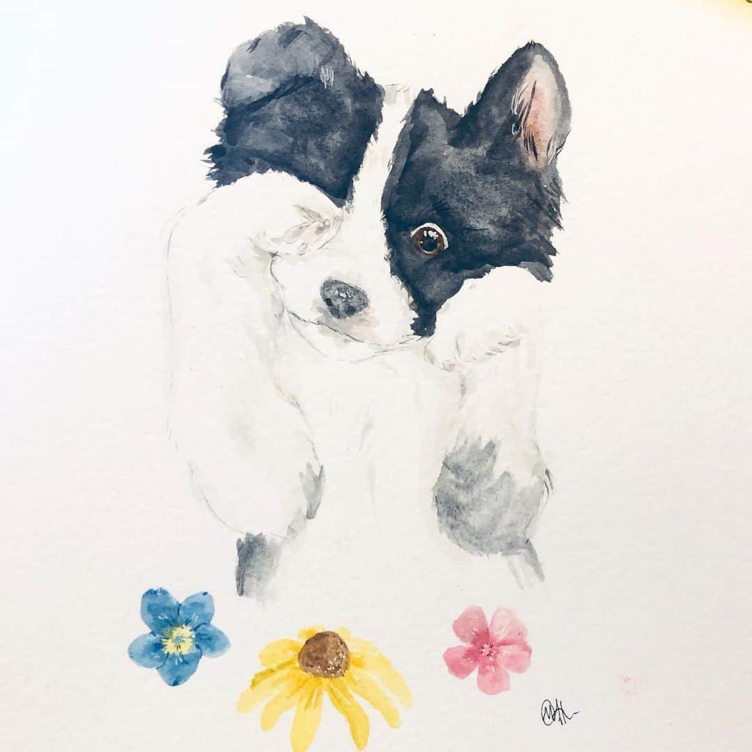 Jazzy Cooper Fostersさんのインスタグラム写真 - (Jazzy Cooper FostersInstagram)「Morgan, my 13-year old hooman-daughter drew this of Phoebe. 💕🎨💕」11月26日 0時09分 - bordernerd