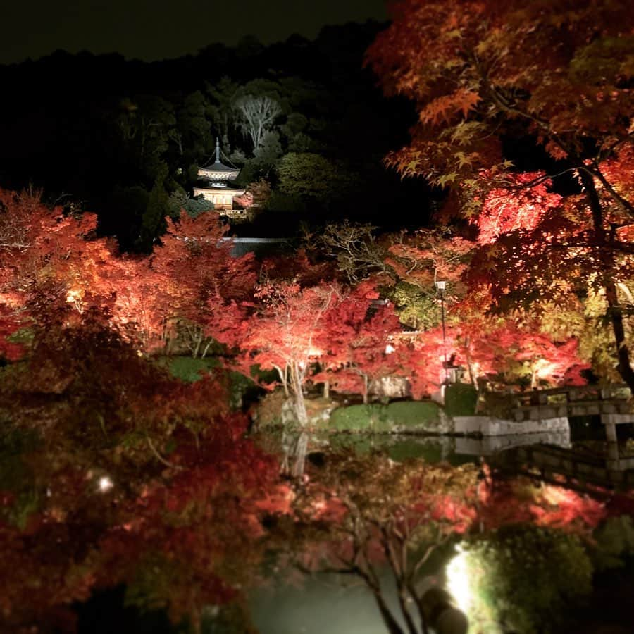 Ces't Mignonさんのインスタグラム写真 - (Ces't MignonInstagram)「・ 紅葉狩りに京都へ🍁 動きやすいスニーカーコーデにしました🙆‍♀️❣️ ・ 足もとがカジュアルだから ガーリーなデザインのトップスを☺︎♡ ・ このケーブルニットは 後ろがレースアップのリボンデザインになってて カットアウトも入ってるからレイヤードにぴったりのアイテム😻 ・ ・ 永観堂のライトアップ 今年もめっちゃ綺麗だったなあ🥰 ・ ・ tops▶︎ @kobe_lettuce #神戸レタス#ケーブルバックリボンニット pants▶︎#UNIQLO ハイウエストドレープワイドストレートパンツ 着丈長めXSサイズ outer▶︎ @myu____official shoes▶︎楽天 bag▶︎zara ・ ・ #お洒落さんと繋がりたい#ユニジョ#ユニクロきれいめ部#ユニクロコーデ#神戸レタス#神戸レタスアンバサダー#スニーカーコーデ#ワイドパンツ#パンツスタイル#ユニクロ#时尚#服好きな人と繋がりたい#潮流#大人女子#プチプラコーデ#ザラジョ#キレイめ#シンプルコーデ#キレイめカジュアル#紅葉#kyoto#永観堂#instafashion#きょコ#着回しコーデ#大人カジュアル」11月26日 0時35分 - cestmignon_mau