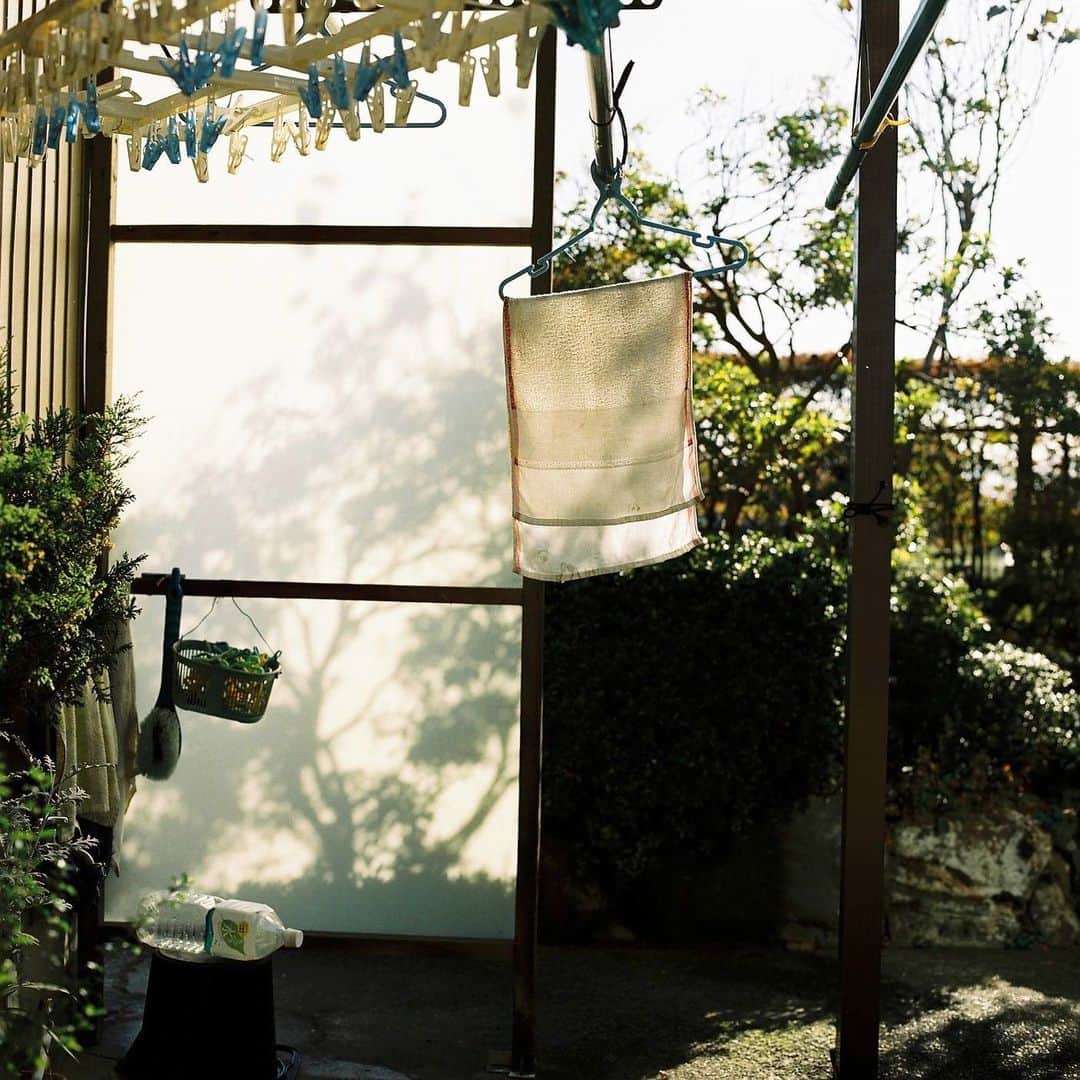 kazuyukikawaharaさんのインスタグラム写真 - (kazuyukikawaharaInstagram)「祖父母の周辺。 秋風を浴びながら干される雑巾。  #hasselblad #film #filmphoto #filmphotography #filmcamera #フィルムに恋してる #RECO_ig #フィルム普及委員会 #instagramjapan #instagram #ハッセルブラッド#tokyocameraclub #igersjp #Pics_Film_」11月26日 10時12分 - kazuyukikawahara